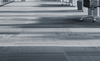 Professional carpet cleaning team