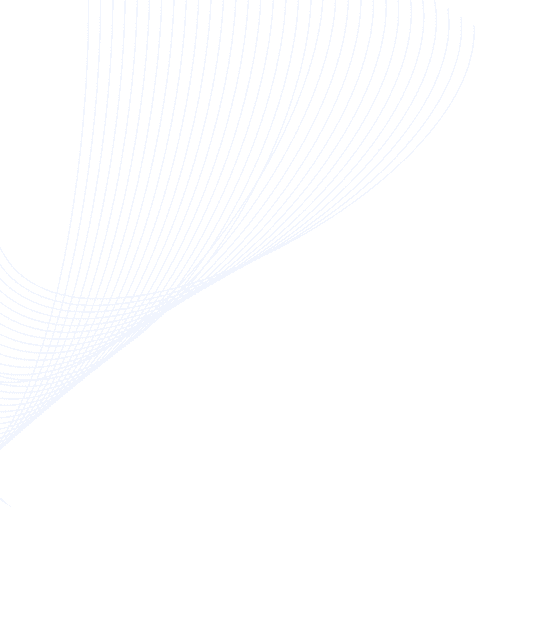 Professional upholstery cleaning services