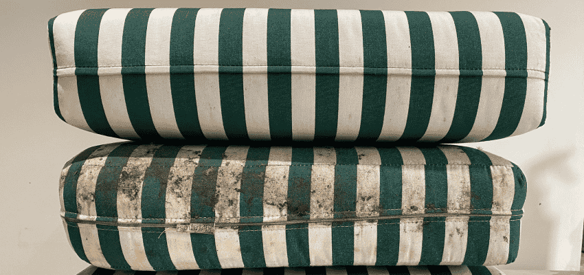 Professional upholstery cleaning service