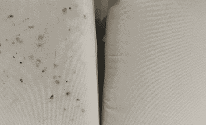 Upholstery cleaning detail